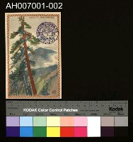 藏品(大正十年六月十七日第二十六回始政紀念明信片)的圖片